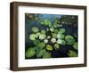 Water Lilies-kirilstanchev-Framed Art Print