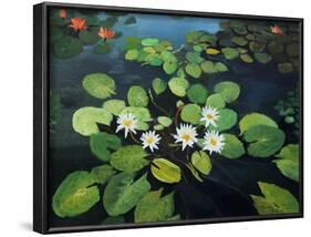 Water Lilies-kirilstanchev-Framed Art Print