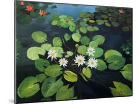 Water Lilies-kirilstanchev-Mounted Art Print