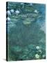 Water-Lilies-Claude Monet-Stretched Canvas