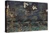 Water Lilies-Mikhail Alexandrovich Vrubel-Stretched Canvas