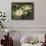 Water Lilies-Albert Williams-Framed Giclee Print displayed on a wall