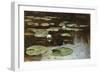 Water Lilies-Julius Sergius Klever-Framed Giclee Print