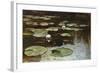 Water Lilies-Julius Sergius Klever-Framed Giclee Print