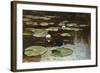 Water Lilies-Julius Sergius Klever-Framed Giclee Print