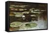 Water Lilies-Julius Sergius Klever-Framed Stretched Canvas