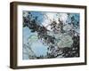 Water Lilies-Rusty Frentner-Framed Giclee Print