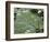 Water Liliy at Yuanmingyuan, Beijing, China-Kober Christian-Framed Photographic Print