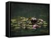 Water Lillies-J.D. Mcfarlan-Framed Stretched Canvas