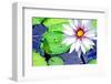 Water Lilly II-Jan Michael Ringlever-Framed Art Print