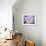 Water Lilly, Kansas, USA-Michael Scheufler-Framed Premium Photographic Print displayed on a wall