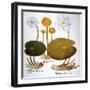 Water Lily, 1613-Besler Basilius-Framed Giclee Print