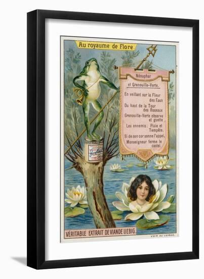Water Lily and Frog-null-Framed Giclee Print