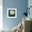 Water Lily Closeup-null-Framed Art Print displayed on a wall