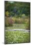 Water lily covered lake, France Park, Indiana, USA.-Anna Miller-Mounted Photographic Print