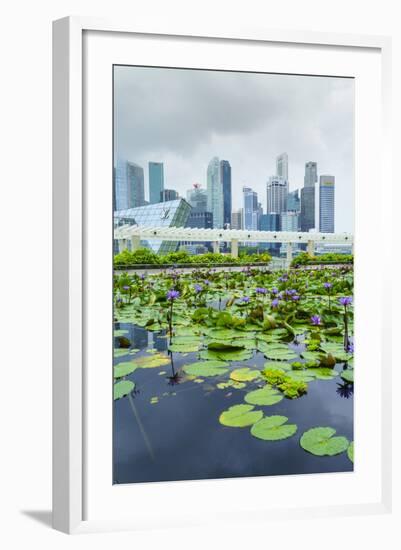 Water Lily Garden by the Artscience Museum with City Skyline Beyond, Marina Bay, Singapore-Fraser Hall-Framed Photographic Print