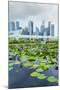 Water Lily Garden by the Artscience Museum with City Skyline Beyond, Marina Bay, Singapore-Fraser Hall-Mounted Photographic Print