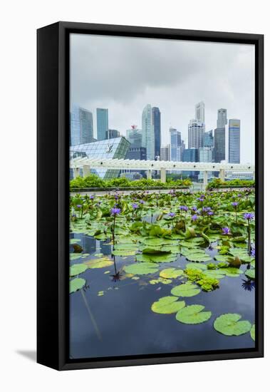 Water Lily Garden by the Artscience Museum with City Skyline Beyond, Marina Bay, Singapore-Fraser Hall-Framed Stretched Canvas