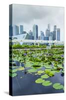 Water Lily Garden by the Artscience Museum with City Skyline Beyond, Marina Bay, Singapore-Fraser Hall-Stretched Canvas
