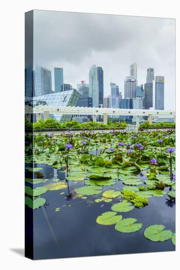 Water Lily Garden by the Artscience Museum with City Skyline Beyond, Marina Bay, Singapore-Fraser Hall-Stretched Canvas