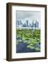 Water Lily Garden by the Artscience Museum with City Skyline Beyond, Marina Bay, Singapore-Fraser Hall-Framed Photographic Print