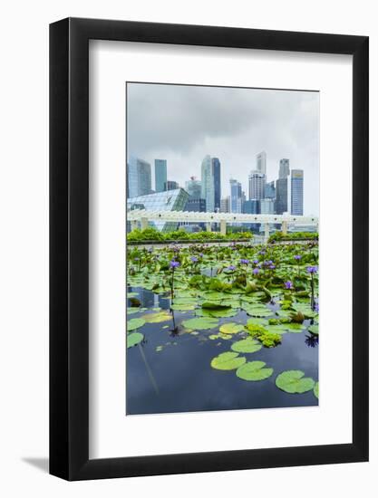 Water Lily Garden by the Artscience Museum with City Skyline Beyond, Marina Bay, Singapore-Fraser Hall-Framed Photographic Print