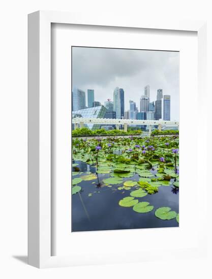 Water Lily Garden by the Artscience Museum with City Skyline Beyond, Marina Bay, Singapore-Fraser Hall-Framed Photographic Print