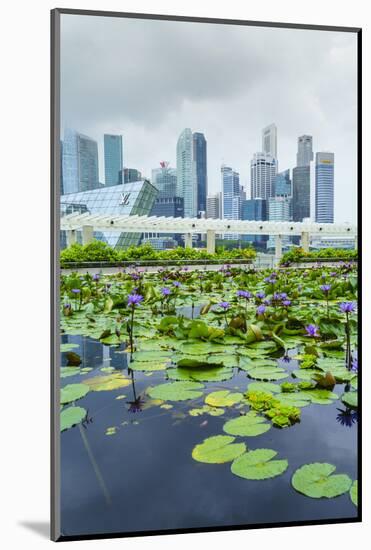 Water Lily Garden by the Artscience Museum with City Skyline Beyond, Marina Bay, Singapore-Fraser Hall-Mounted Photographic Print