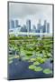 Water Lily Garden by the Artscience Museum with City Skyline Beyond, Marina Bay, Singapore-Fraser Hall-Mounted Photographic Print