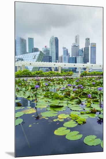 Water Lily Garden by the Artscience Museum with City Skyline Beyond, Marina Bay, Singapore-Fraser Hall-Mounted Premium Photographic Print