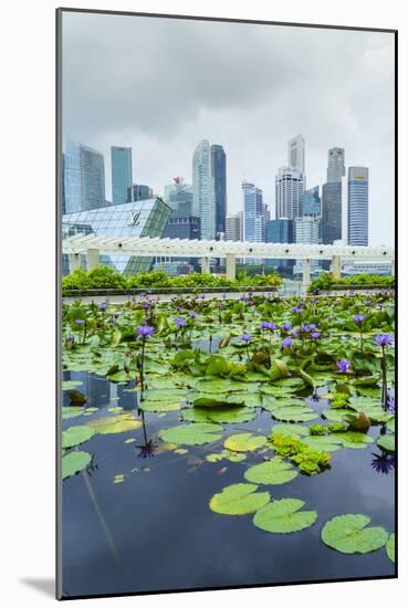 Water Lily Garden by the Artscience Museum with City Skyline Beyond, Marina Bay, Singapore-Fraser Hall-Mounted Photographic Print