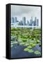 Water Lily Garden by the Artscience Museum with City Skyline Beyond, Marina Bay, Singapore-Fraser Hall-Framed Stretched Canvas