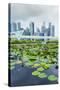 Water Lily Garden by the Artscience Museum with City Skyline Beyond, Marina Bay, Singapore-Fraser Hall-Stretched Canvas