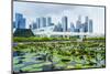 Water Lily Garden by the Artscience Museum with City Skyline Beyond, Marina Bay, Singapore-Fraser Hall-Mounted Photographic Print
