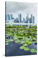 Water Lily Garden by the Artscience Museum with City Skyline Beyond, Marina Bay, Singapore-Fraser Hall-Stretched Canvas