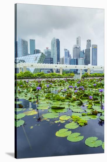 Water Lily Garden by the Artscience Museum with City Skyline Beyond, Marina Bay, Singapore-Fraser Hall-Stretched Canvas