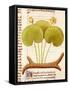 Water Lily, Hetela Memifar (Nymphaea)-null-Framed Stretched Canvas