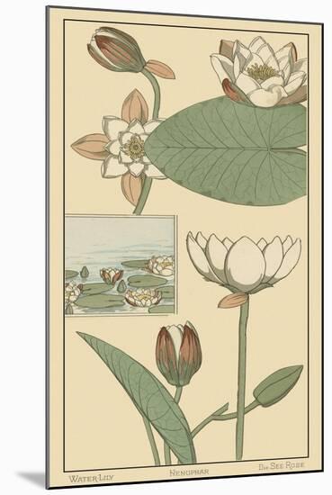 Water Lily I-M. P. Verneuil-Mounted Art Print
