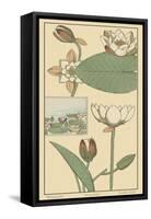 Water Lily I-M. P. Verneuil-Framed Stretched Canvas