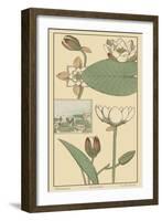 Water Lily I-M. P. Verneuil-Framed Art Print