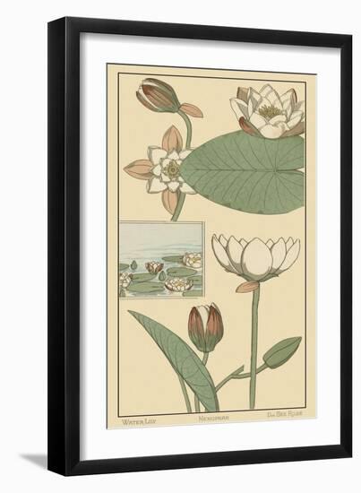 Water Lily I-M. P. Verneuil-Framed Art Print