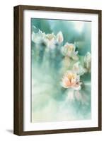 Water Lily I-Katrina Pete-Framed Art Print