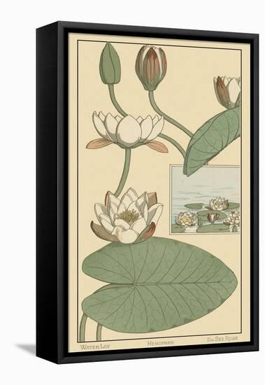 Water Lily II-M. P. Verneuil-Framed Stretched Canvas