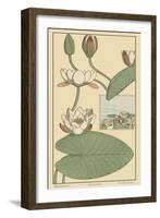 Water Lily II-M. P. Verneuil-Framed Art Print