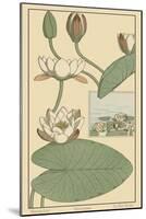 Water Lily II-M. P. Verneuil-Mounted Art Print