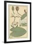 Water Lily II-M. P. Verneuil-Framed Art Print