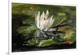 Water Lily in Sunlight, 1881-John La Farge-Framed Giclee Print