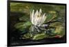 Water Lily in Sunlight, 1881-John La Farge-Framed Giclee Print