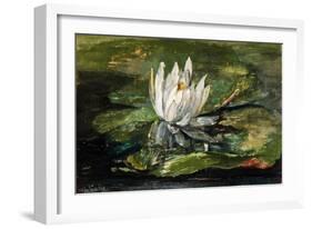 Water Lily in Sunlight, 1881-John La Farge-Framed Giclee Print