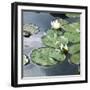 Water Lily Pond-Anna Miller-Framed Photographic Print